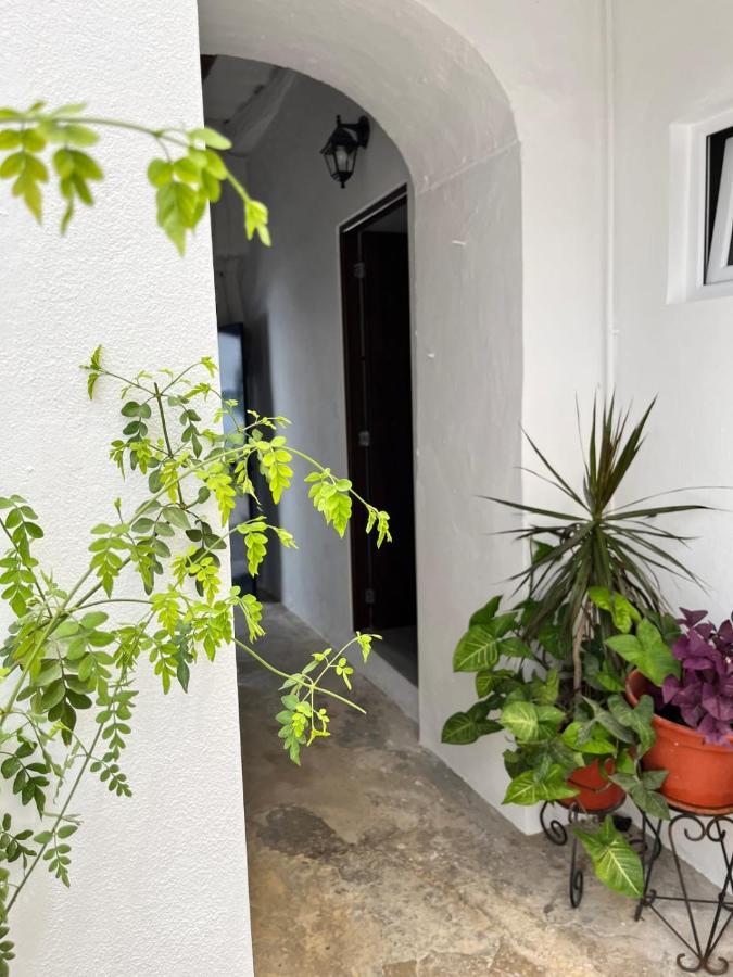 Apartamento 29 アルコス・デ・ラ・フロンテーラ エクステリア 写真